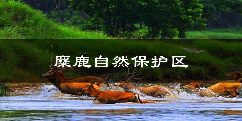 麋鹿自然保护区气温