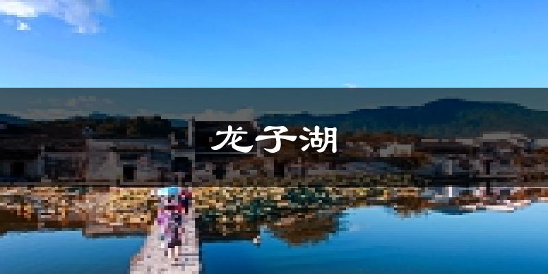 蚌埠龙子湖天气预报未来一周