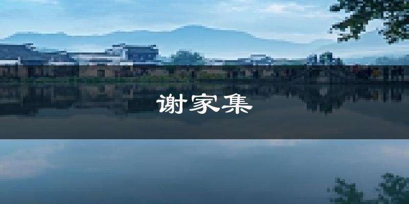 淮南谢家集天气预报未来一周