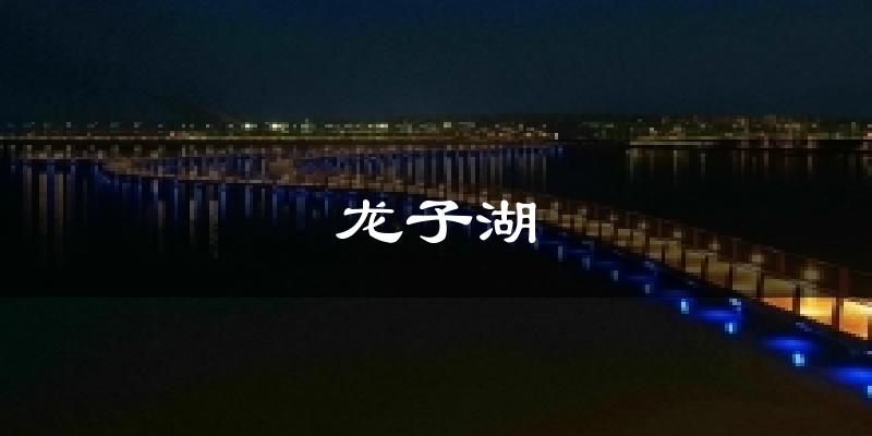 龙子湖气温