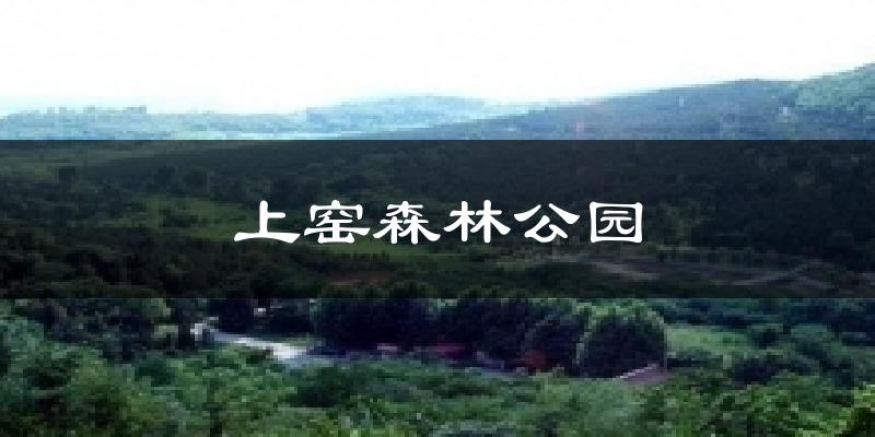 上窑森林公园今日天气