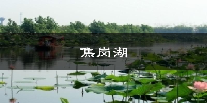 焦岗湖气温