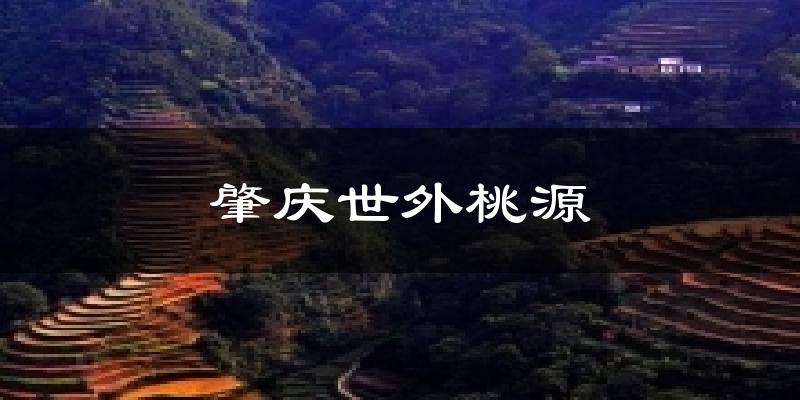 肇庆世外桃源今日天气